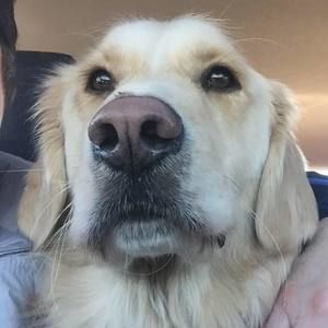 Meet your Posher, Mindy